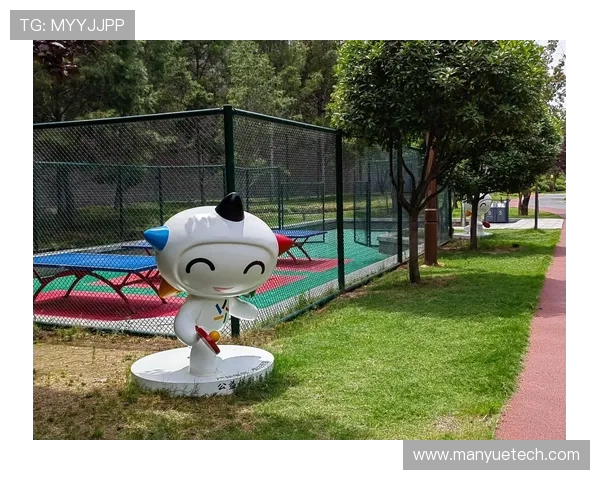 乒乓球的梦想与坚持：西安乒乓球队成长历程的真实记录与感悟